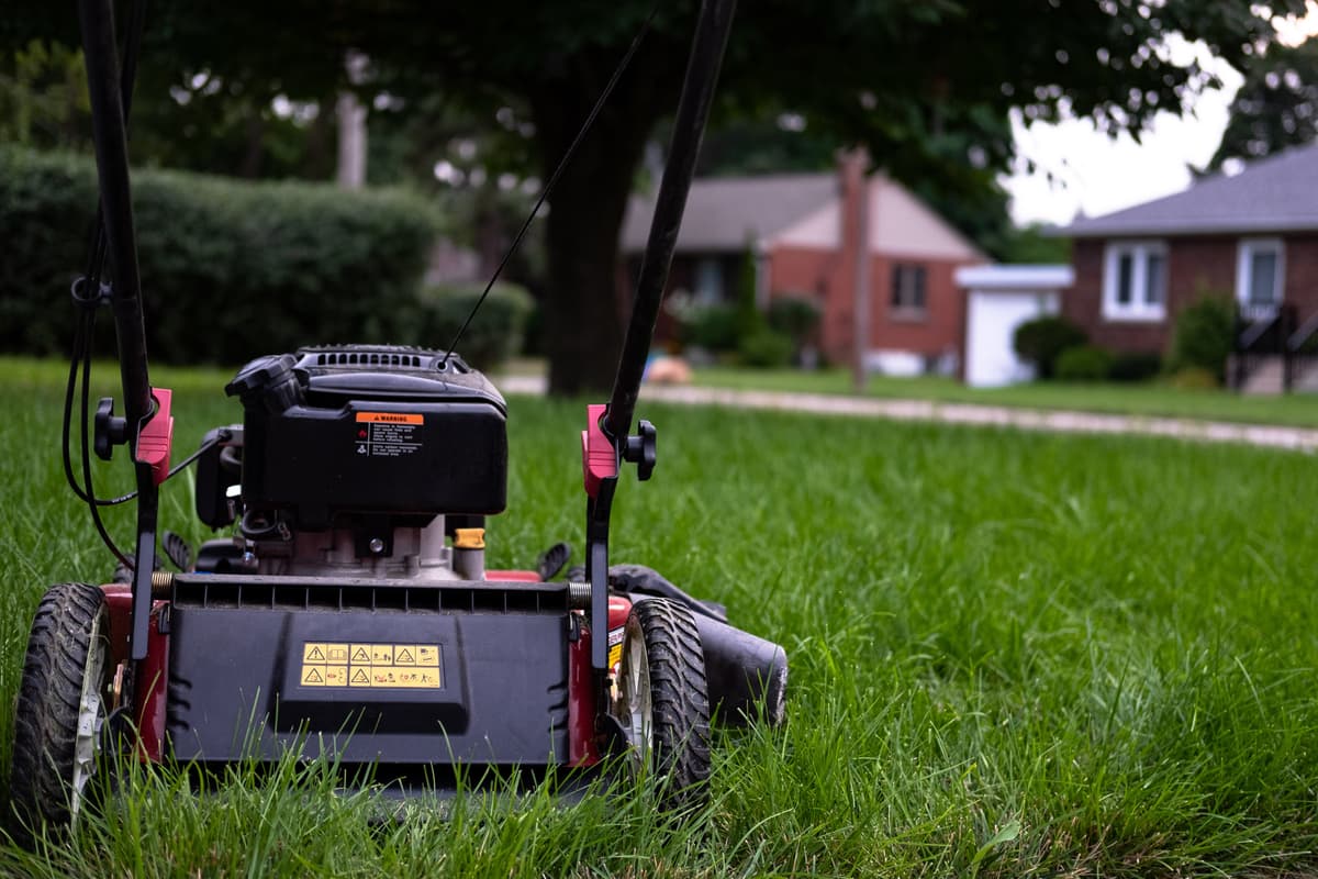 From Startup to Success: Our Lawn Care Journey